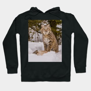 Bobcat with Rabbit 4x5 Hoodie